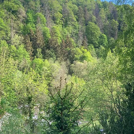 Rübeland * Neuwerk (Saxony-Anhalt)