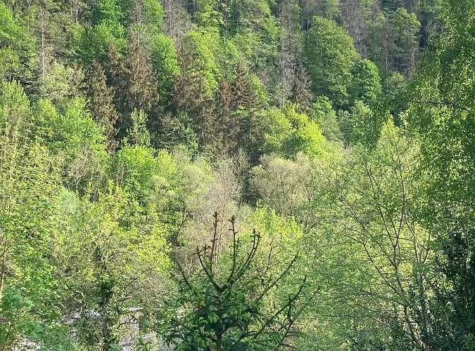 Lägenhet Ruebeland Neuwerk (Saxony-Anhalt)