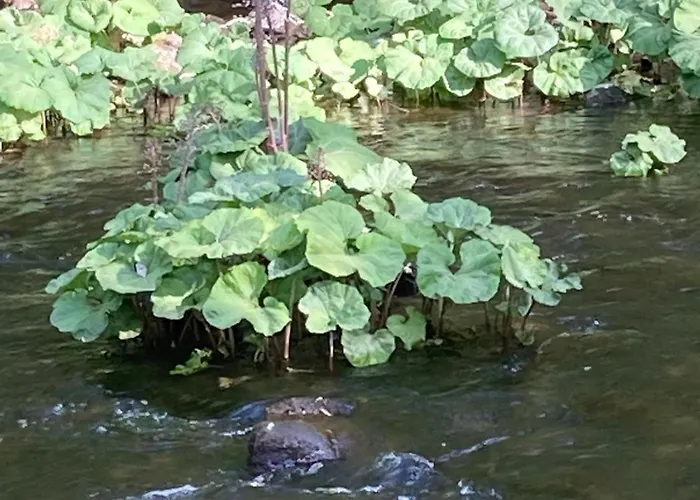 Lejlighed Ruebeland Neuwerk (Saxony-Anhalt)